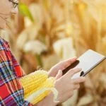 transformacion digital y digitalizacion empresarial en crisis