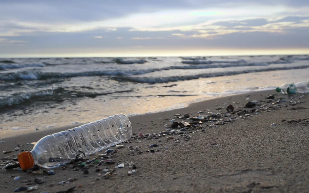 La Ley de Residuos establece una obligación de reserva de contratos a empresas de Economía Social