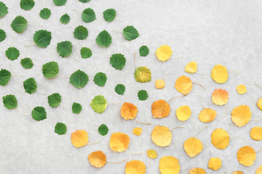 El Principado de Asturias plantea la programación del Fondo de Transición Justa e incluye como eje prioritario el impulso a la Economía Social