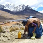 Alto Milluni: cuando las mujeres lideran el cambio hacia una economía verde y violeta