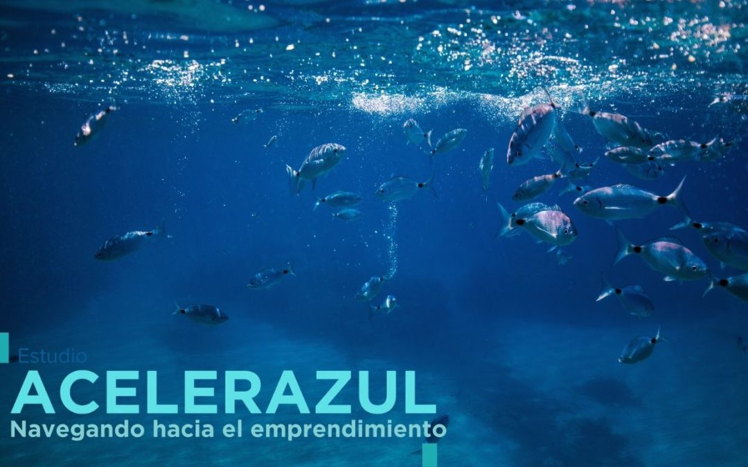 ASATA publica el estudio “ACELERAZUL: navegando hacia el emprendimiento”