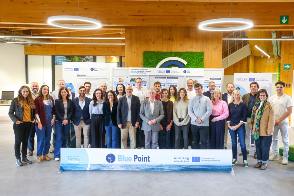 presentacion resultados blue point